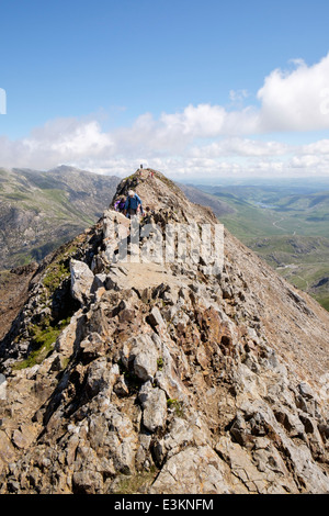 Voir retour aux marcheurs scrambling sur lit d'Goch ridge top scramble au démarrage de Snowdon Horseshoe en montagnes de Snowdonia au Pays de Galles UK Banque D'Images