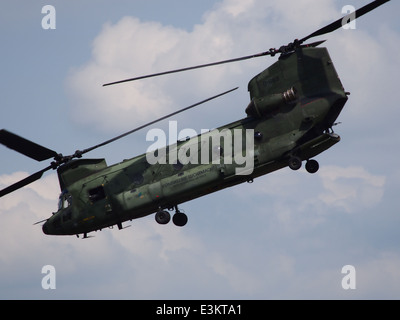 Le d-663 Boeing CH-47D Chinook, qui fait partie de la Royal Netherlands Air Force (RNLAF), est un hélicoptère de transport lourd utilisé pour le transport de troupes et les opérations logistiques. Ce modèle est réputé pour sa conception à double rotor. Banque D'Images