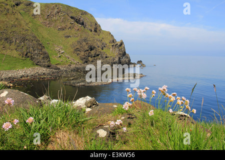 Situation spectaculaire à Kinbane Head sur la côte de Causeway en Irlande du Nord, juste à l'extérieur du château de Ballycastle Banque D'Images