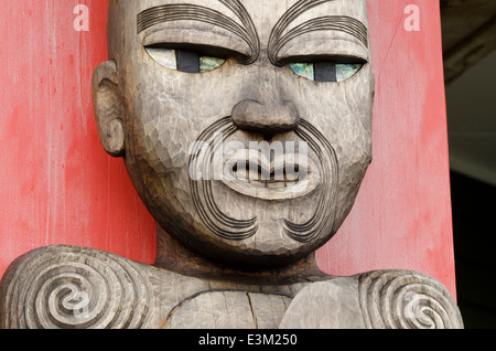 Nouvelle Zélande, île du nord, Auckland. Waitakere Ranges Regional Park. Arataki 2002-2012 Centre de visiteurs. Banque D'Images