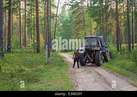 Rupture du tracteur dans le bois. Le tracteur a labouré un sillon divisant forest place à une tempête. Banque D'Images