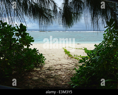 Ritidian Beach, situé à la pointe nord de Guam, fait partie de la réserve naturelle nationale de Guam. Cette plage pittoresque est connue pour ses eaux cristallines, ses rives sablonneuses et sa biodiversité, offrant une protection aux espèces sauvages marines et côtières des îles du Pacifique. Banque D'Images