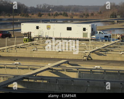 Le marquage de masse, une technique utilisée pour suivre et surveiller les populations de poissons, est une méthode essentielle dans les efforts de conservation. En marquant les poissons, les scientifiques peuvent recueillir des données sur leurs déplacements, leur taux de survie et leur impact écologique. Banque D'Images