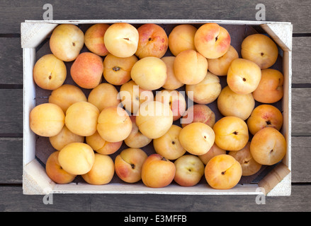Boîte en bois d'abricots frais Banque D'Images