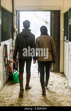 Vue arrière sur toute la longueur du jeune couple walking in horse stable Banque D'Images