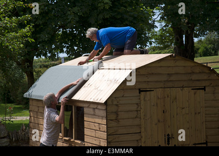 L'érection d'un nouvel abri de jardin en bois l'application de revêtements bitumés Banque D'Images