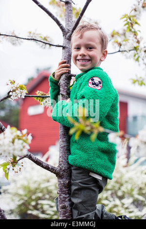 Vue de côté portrait of happy boy climbing tree in lawn Banque D'Images