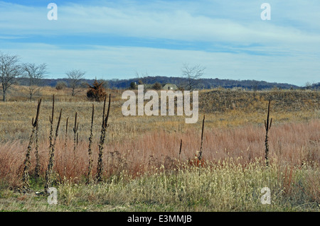 Prairies sablonneuses Banque D'Images