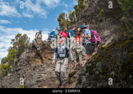 Déménagement groupe jusqu'shira ridge sur Route Machame Camp vers 2 Banque D'Images