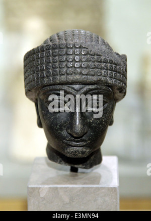 Ancienne tête diorite mésopotamienne de Gudea, souveraine (ensi) de Lagash en Mésopotamie méridionale, Irak, datant de la période néo-sumérienne (c. 2144–2124 av. J.-C.). Banque D'Images