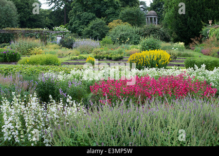 Famille de plantes simples dans les murs d'un jardin de fines herbes et le Temple d'Eole à Kew Gardens London UK Banque D'Images