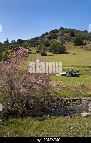 Quatre Wheeling dans une gamme côtière ranch dans le centre de la Californie Banque D'Images