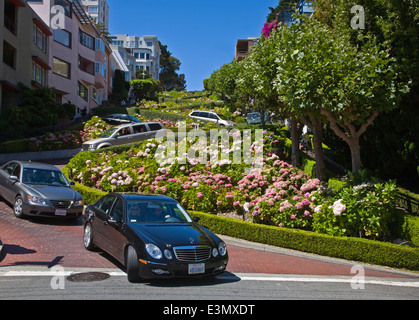 Les touristes vous aimez conduire les méandres de Lombard Street - SAN FRANCISCO, CALIFORNIE Banque D'Images