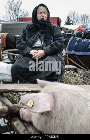 Femme vendant des porcs dans un marché d'animaux, Maramures, Roumanie. Banque D'Images