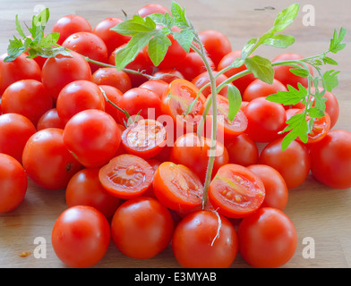 De plus en plus de germes de printemps, la tomate coupée en deux, la récolte de tomates Banque D'Images