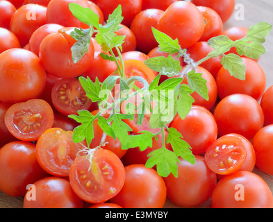 De plus en plus de germes de printemps, la tomate coupée en deux, la récolte de tomates Banque D'Images