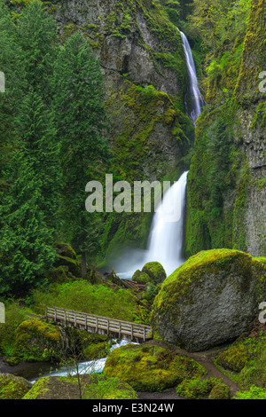 Columbia Gorge National Scenic Area, Mount Hood National Forest, ou : Wahclella Falls au printemps Banque D'Images