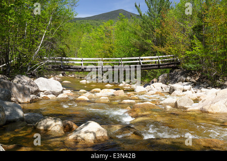 North Fork junction, passerelle qui traverse la branche est de la rivière Pemigewasset le long du sentier des chutes de Thoreau dans Pemigewasset Wilderness, NH. Banque D'Images