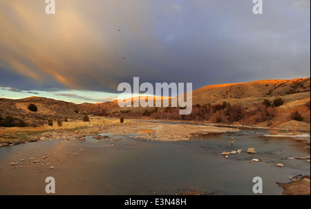 La pêche à la mouche sur la rivière North Platte dans le Wyoming, USA Banque D'Images