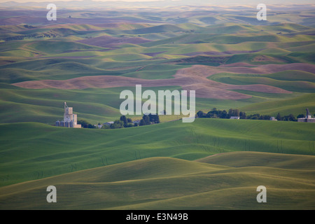 Belle scène de pays d'Amérique du cœur, la région d'élevage de la Palouse dans l'État de Washington et en Idaho. Banque D'Images