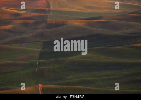 Belle scène de pays d'Amérique du cœur, la région d'élevage de la Palouse dans l'État de Washington et en Idaho. Banque D'Images