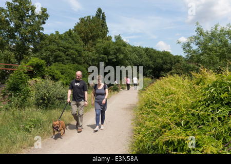 Réserve naturelle de la forêt-parc à pied Muswell Hill - Londres - Banque D'Images