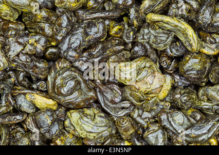 Thé vert de grande qualité Close Up Studio Shot Banque D'Images
