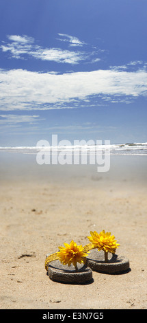 La femme des chaussures élégantes sur la plage Banque D'Images