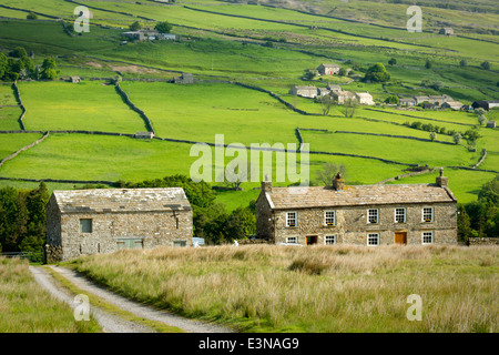 Curieusement le jaune nommé maisons dans Arkengarthdale avec le hameau lointain de Booze photographié au printemps. Banque D'Images