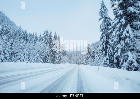 Les traces de pneus sur la route couverte de neige Banque D'Images