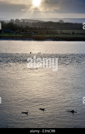 Les surfeurs et les canoteurs attendent l'arrivée de l'alésage du bras Severn raz de marée à Newnham-on-Severn, Gloucestershire UK 2014 Banque D'Images