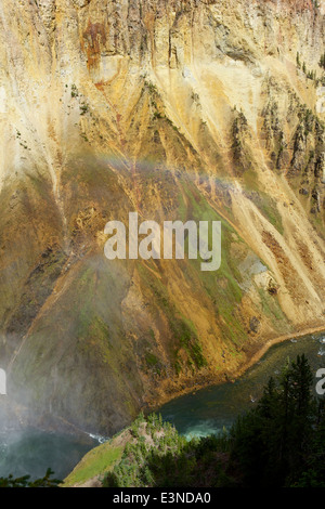 Vue sur la rivière Yellowstone et des rapides vue d'Uncle Tom's Trail avec un arc-en-ciel formés dans la pulvérisation des lower falls Banque D'Images