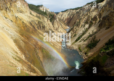 Vue vers le bas le Grand Canyon sur la rivière Yellowstone et des rapides, vu de la plate-forme panoramique au-dessus de la tombe inférieure avec rainbow Banque D'Images