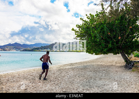 Homme qui court sur la plage de Grand'Anse, St George, la Grenade, dans les Antilles, au petit matin. Banque D'Images