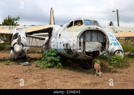 Épave d'un avion russe Antonov An26 à l'Aérodrome de perles, Grenville, Grenade, West Indies Banque D'Images