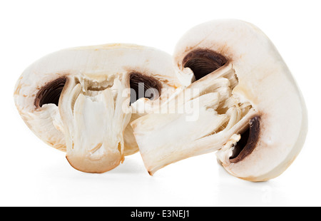 Champignons Champignons close-up isolé sur fond blanc Banque D'Images