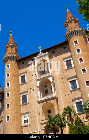 Urbino, Palais Ducal. Palazzo Ducale. Marches, Italie, Europe. Site du patrimoine mondial de l'UNESCO Banque D'Images