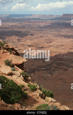 Les aiguilles donnent sur Canyonlands Banque D'Images