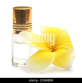 Frangipani tropicales avec flacon de parfum sur fond blanc Banque D'Images