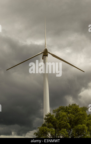 Avec la construction d'ÉOLIENNES LES NUAGES DE TEMPÊTE DE VENT ET L'ARBRE DE LA FINDHORN ECOVILLAGE MORAY ECOSSE Banque D'Images