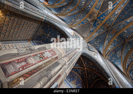 Plafond peint dans la Cathedrale Sainte Cecile Banque D'Images