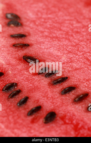 Close-up d'une nouvelle tranche d'une pastèque rouge Banque D'Images