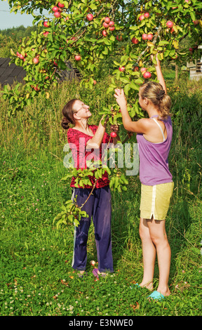 L'été 2013 vie rurale. Habitants du village - la mère et la fille près d'un Apple-tree. Banque D'Images