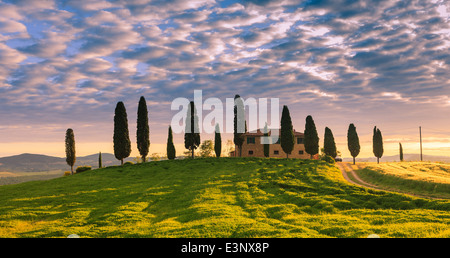 Podere I Cipressini avec le célèbre cyprès au coeur de la Toscane, près de Pienza, Italie Banque D'Images