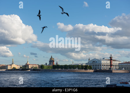 Saint-pétersbourg. Vue sur l'Île Vasilevsky et des mouettes Banque D'Images