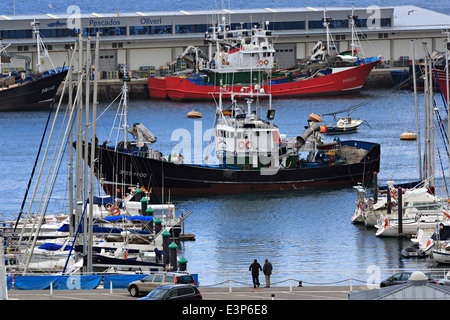 Getaria, Gipuzkoa, Pays Basque. Port de pêche commerciales achalandées. L'Espagne a la plus grande flotte de pêche commerciale dans l'UE. Banque D'Images