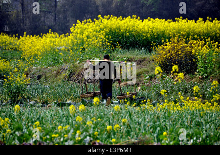 PENGZHOU, CHINE : agriculteur portant des paniers dans la zone de marche Banque D'Images