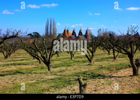 Oast maisons dans la campagne du Kent près de East Farleigh Banque D'Images