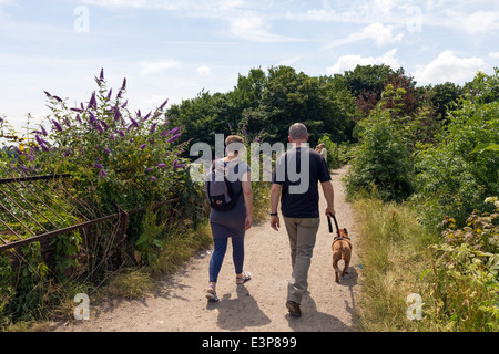 Réserve naturelle de la forêt-parc à pied Muswell Hill - Londres - Banque D'Images