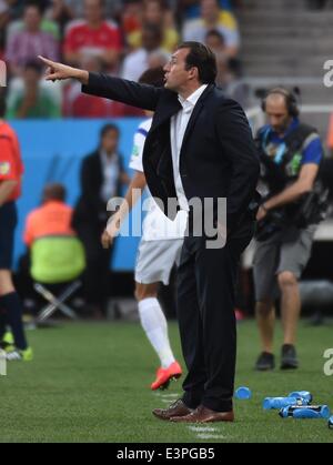 (140626) -- SAO PAULO, le 26 juin 2014 (Xinhua) -- Belgique entraîneur en chef Marc Wilmots donne des instructions au cours d'un groupe H match entre la Corée et la Belgique de la Coupe du Monde FIFA 2014 à l'Aréna de Sao Paulo Stadium à Sao Paulo, Brésil, le 26 juin 2014. (Xinhua/Li Ga)(xzj) Banque D'Images